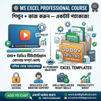 ms_excel_professional_course_from_digital_hub_01_02